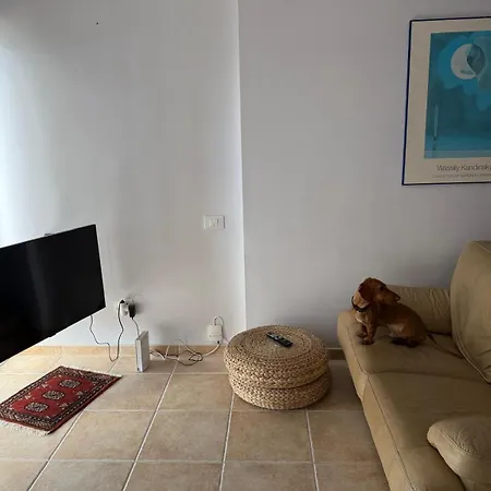 Line Apartment